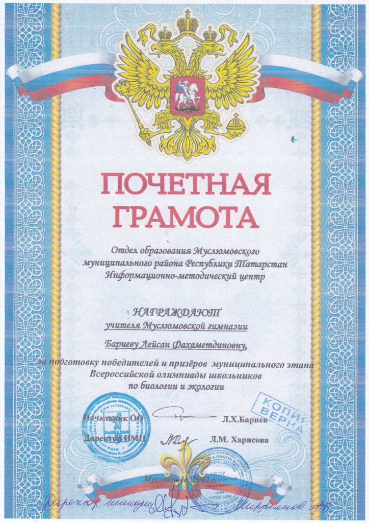 Грамота за подготовку призёров и победителей олимпиад Грамота за подготовку призёров и победителей олимпиад