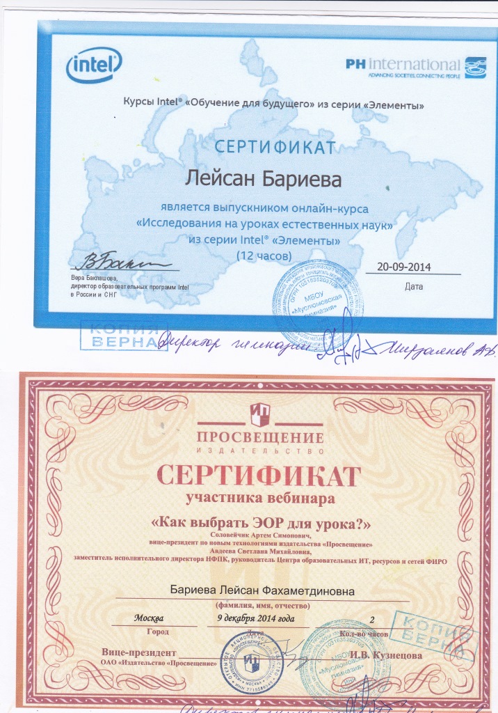 УЧАСТНИК ВЕБИНАРОВ УЧАСТНИК ВЕБИНАРОВ