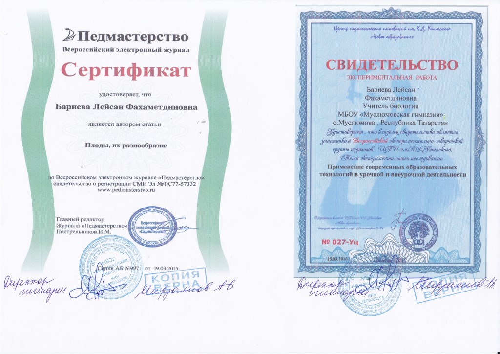 ПУБЛИКАЦИЯ ПУБЛИКАЦИЯ